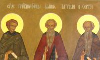 Преподобни Јован, Сергиј, Патрикиј и други, во обителта на свети Сава убиени (796)